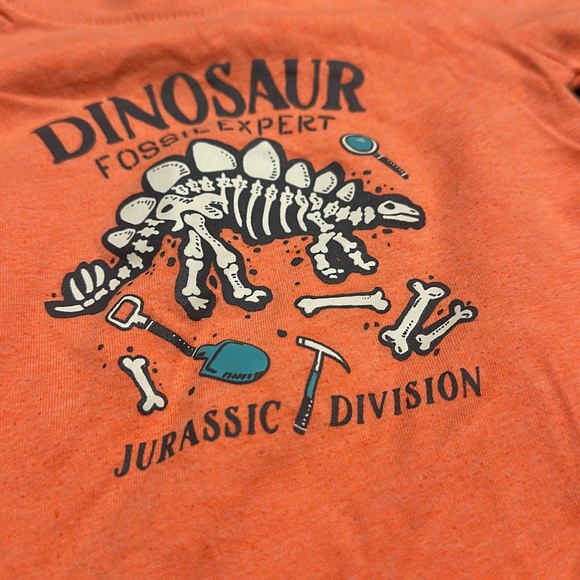 Dinosaur Fossil Expert Orange Kids T-Shirt 12M 3LM - Picture 2 of 3